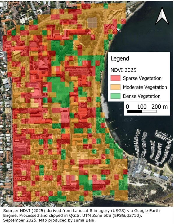 NDVI 2025 vegetation map of an urban campus beside a river, classed as sparse, moderate and dense vegetation, derived from Landsat 8 imagery via Google Earth Engine and processed in QGIS; map produced by Iuma Bani, September 2025